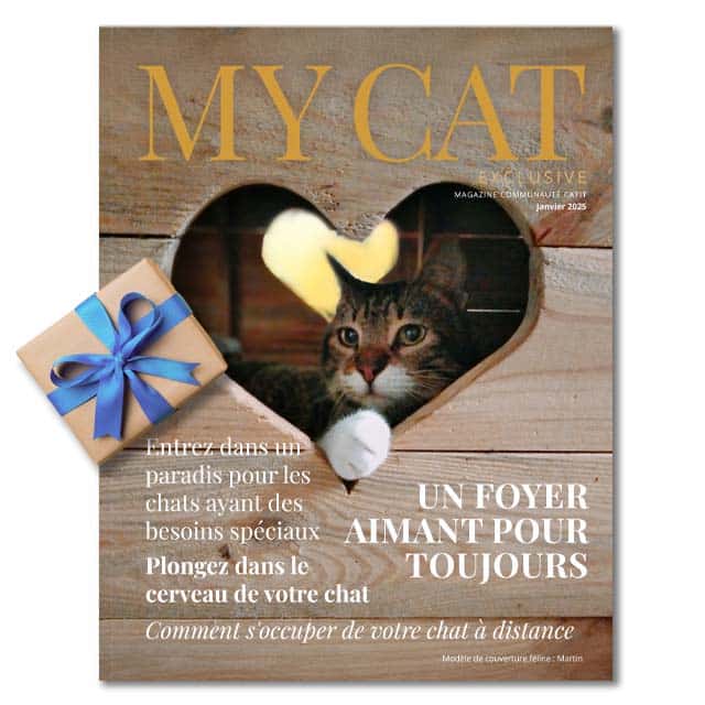 My Cat Exclusive Janvier 2025