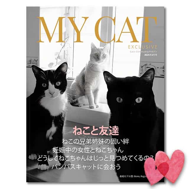 My Cat Exclusive 2025年2月号